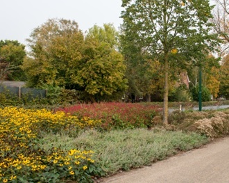 171102 Landhorst3